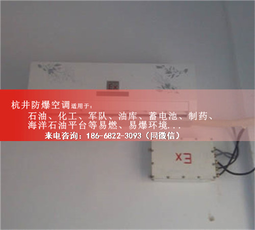 發(fā)電廠防爆空調(diào)機(jī)案例圖