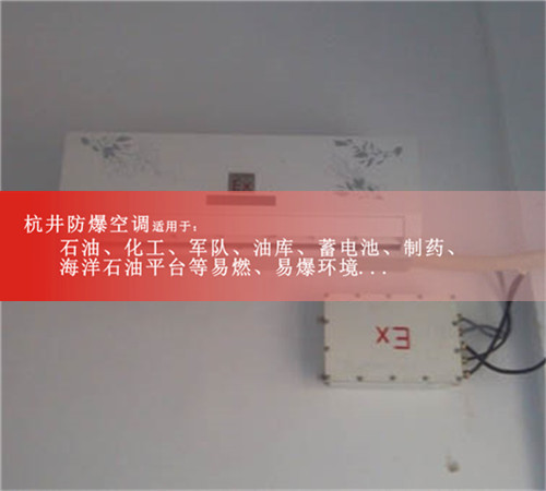 化肥廠防爆空調(diào)案例圖